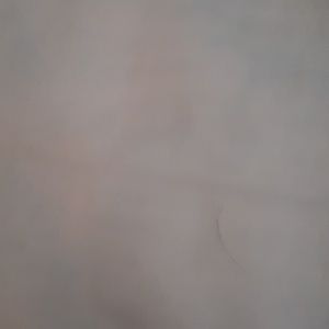 Meet your Posher, Elise